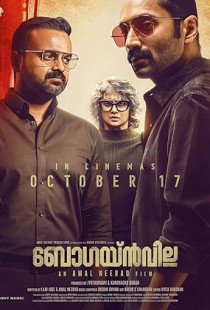 Bougainvillea (2024)