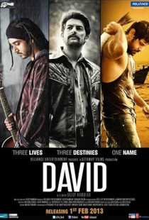 David (2013)