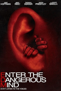 Enter the Dangerous Mind (2013)