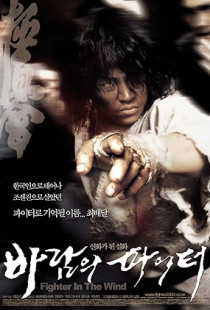 Fighter in the Wind (2004)