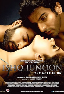 Ishq Junoon: The Heat Is On (2016)