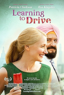 Learning to Drive (2014)