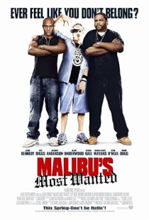 Malibu's Most Wanted (2003)