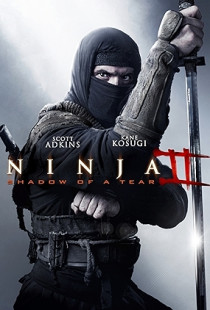 Ninja: Shadow of a Tear (2013)