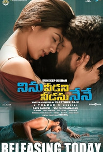Ninnu Veedani Needanu Nene (2019)