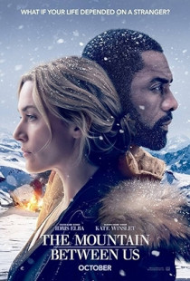 The Mountain Between Us (2017)