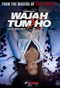 Wajah Tum Ho (2016)